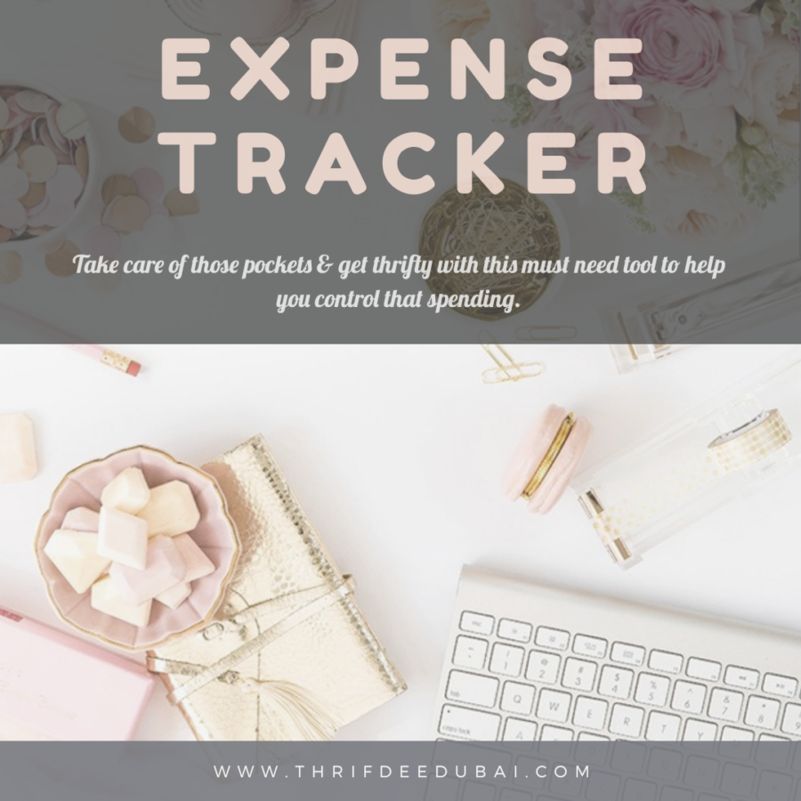 Expense Tracker – Get Thrifty!