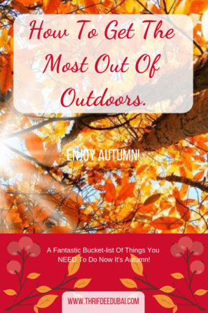 How To Get The Most Out Of Outdoors – Enjoying Autumn